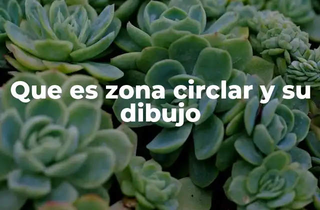 Que es Zona Circlar y Su Dibujo