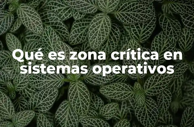Qué es Zona Crítica en Sistemas Operativos