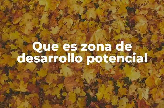 Que es Zona de Desarrollo Potencial