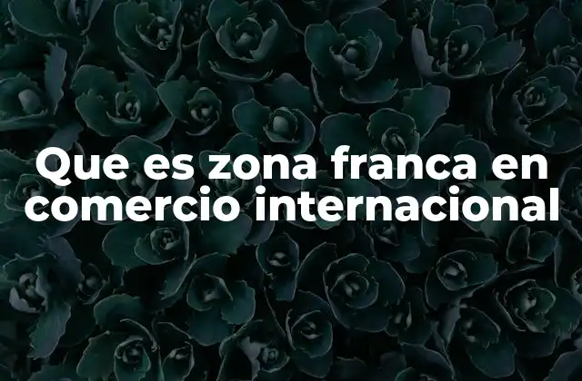 Que es Zona Franca en Comercio Internacional