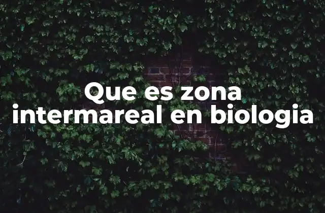 Que es Zona Intermareal en Biologia