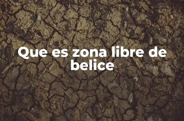 Que es Zona Libre de Belice