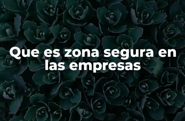 Que es Zona Segura en las Empresas