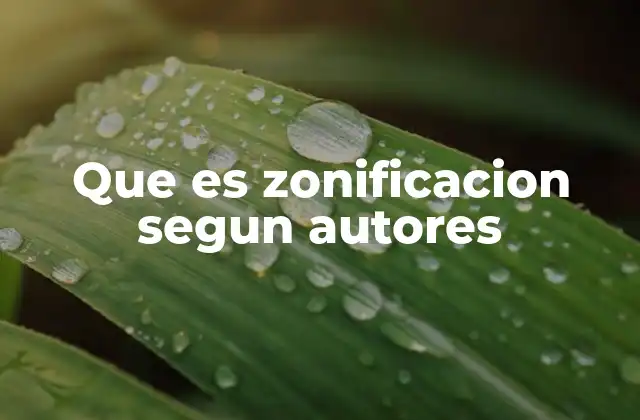 Que es Zonificacion Segun Autores