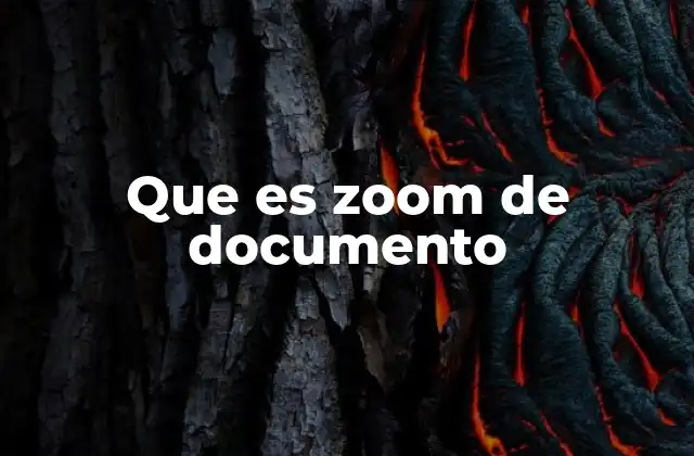 Que es Zoom de Documento
