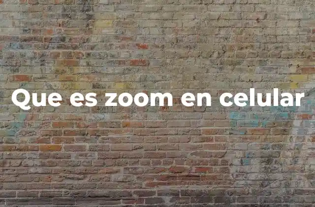 Que es Zoom en Celular