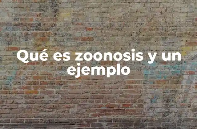Qué es Zoonosis y un Ejemplo