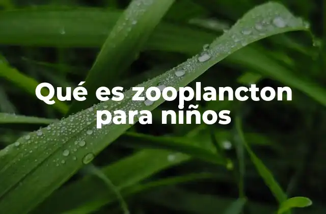 Qué es Zooplancton para Niños