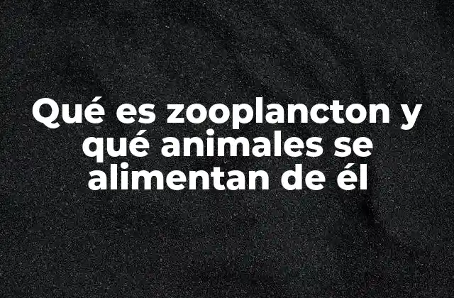 Qué es Zooplancton y Qué Animales Se Alimentan de Él 2 El rol del zooplancton en el ecosistema marino