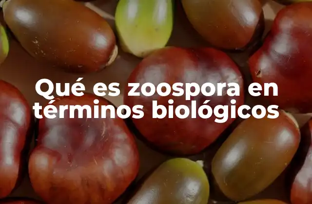 Qué es Zoospora en Términos Biológicos