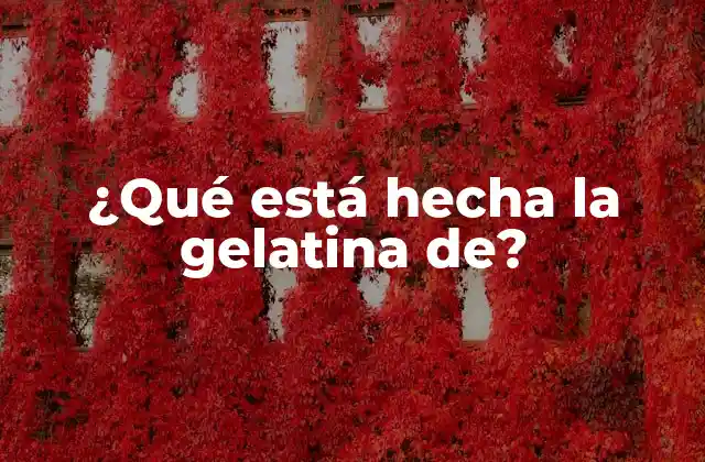 ¿qué Está Hecha la Gelatina De?