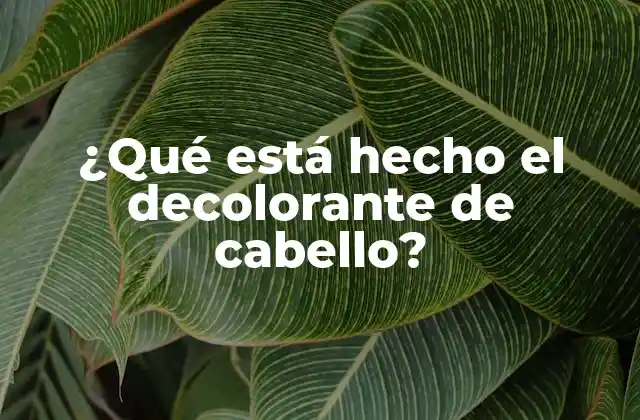 Químicos activos en el decolorante de cabello