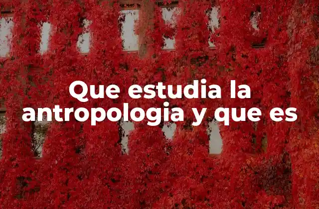 Que Estudia la Antropologia y que es