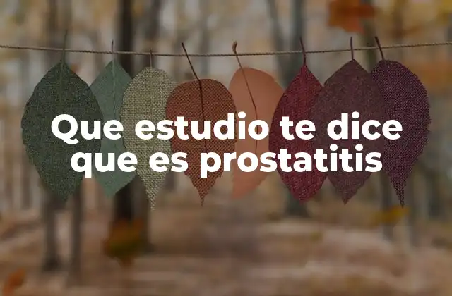 Que Estudio Te Dice que es Prostatitis