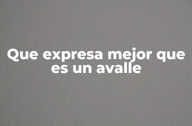 Que Expresa Mejor que es un Avalle