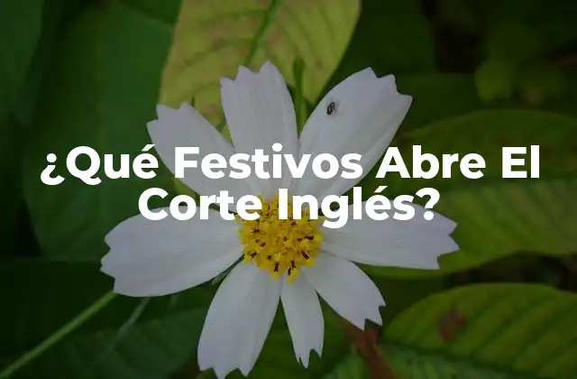 ¿qué Festivos Abre el Corte Inglés?