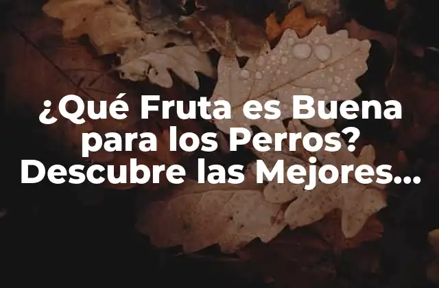 ¿qué Fruta es Buena para los Perros? Descubre las Mejores Opciones