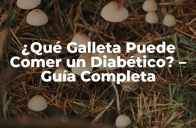 ¿qué Galleta Puede Comer un Diabético? – Guía Completa