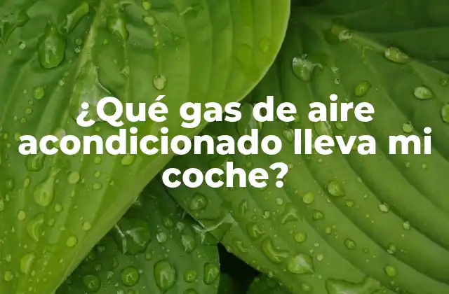 Historia de los gases de aire acondicionado en vehículos