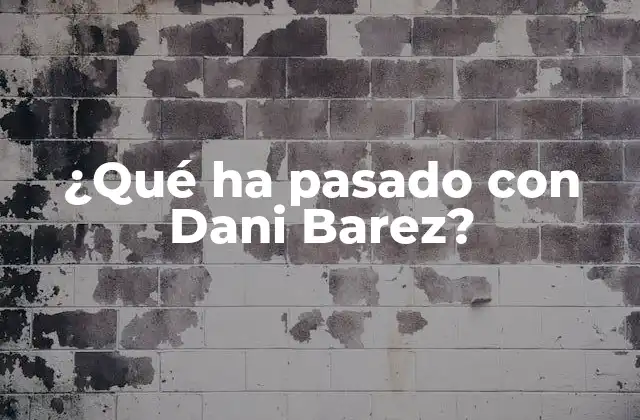 ¿qué Ha Pasado con Dani Barez?
