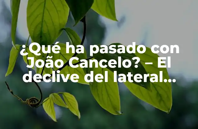¿qué Ha Pasado con João Cancelo? – el Declive Del Lateral Derecho de Manchester City