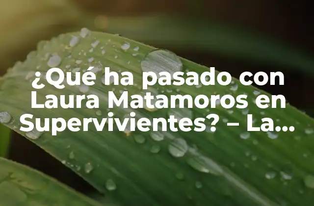¿qué Ha Pasado con Laura Matamoros en Supervivientes? – la Verdad sobre Su Salida Del Programa