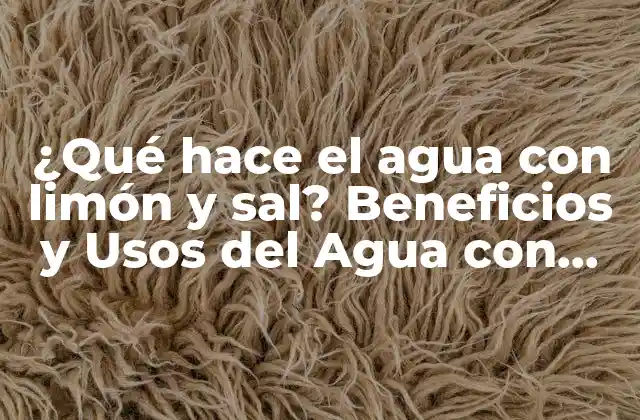 ¿qué Hace el Agua con Limón y Sal? Beneficios y Usos Del Agua con Limón y Sal