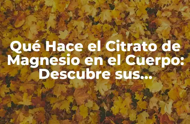 Qué Hace el Citrato de Magnesio en el Cuerpo: Descubre Sus Beneficios