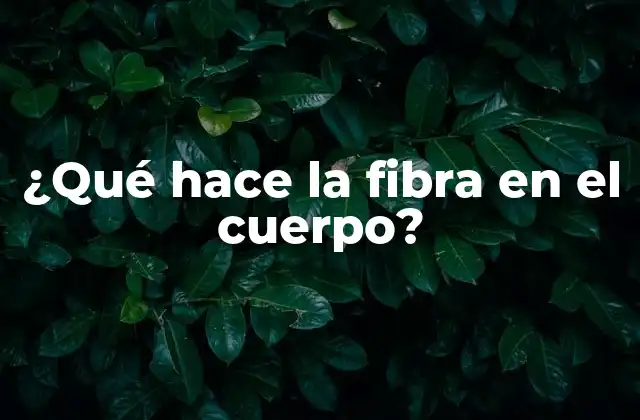 ¿qué Hace la Fibra en el Cuerpo?