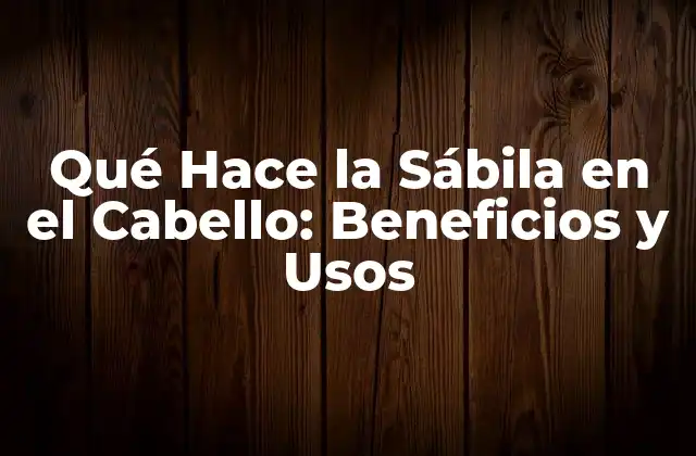 Qué Hace la Sábila en el Cabello: Beneficios y Usos