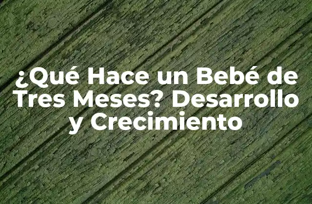 ¿qué Hace un Bebé de Tres Meses? Desarrollo y Crecimiento