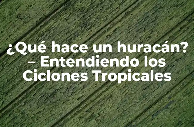 ¿qué Hace un Huracán? – Entendiendo los Ciclones Tropicales