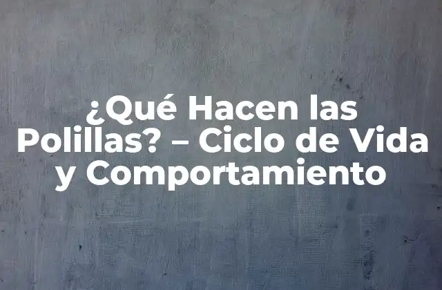 ¿qué Hacen las Polillas? – Ciclo de Vida y Comportamiento