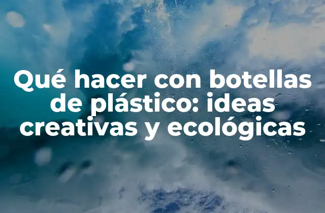 Qué Hacer con Botellas de Plástico: Ideas Creativas y Ecológicas