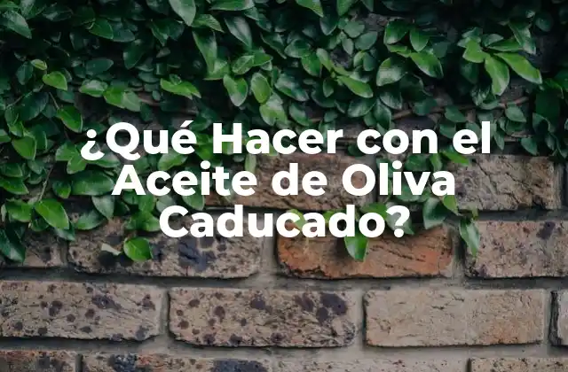 ¿qué Hacer con el Aceite de Oliva Caducado?