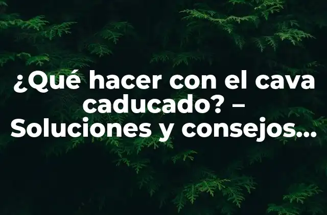 ¿qué Hacer con el Cava Caducado? – Soluciones y Consejos Prácticos