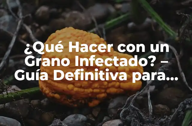 ¿qué Hacer con un Grano Infectado? – Guía Definitiva para Tratar Infecciones de Granos