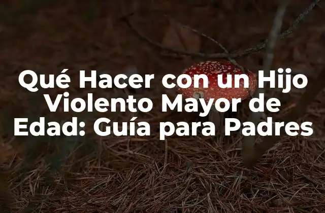 Qué Hacer con un Hijo Violento Mayor de Edad: Guía para Padres