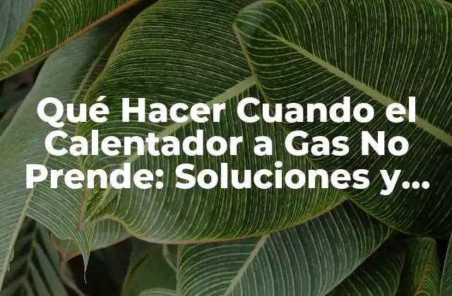 Qué Hacer Cuando el Calentador a Gas No Prende: Soluciones y Consejos