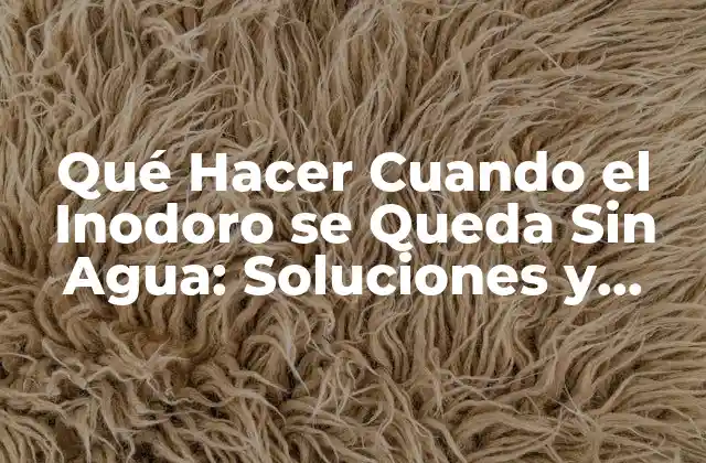 Qué Hacer Cuando el Inodoro Se Queda sin Agua: Soluciones y Consejos