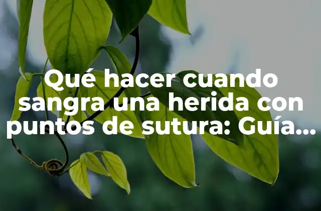 Qué Hacer Cuando Sangra una Herida con Puntos de Sutura: Guía Práctica