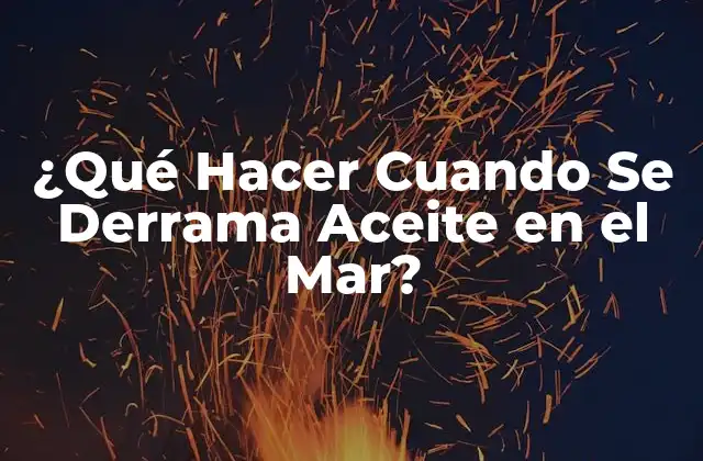 ¿qué Hacer Cuando Se Derrama Aceite en el Mar?