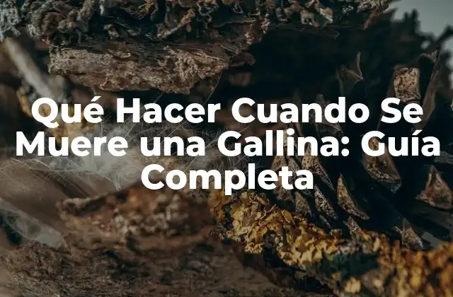 Qué Hacer Cuando Se Muere una Gallina: Guía Completa