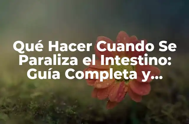 Qué Hacer Cuando Se Paraliza el Intestino: Guía Completa y Actualizada