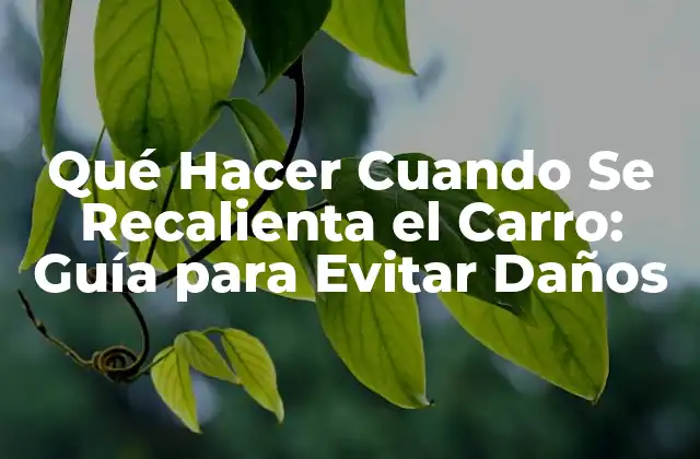 Qué Hacer Cuando Se Recalienta el Carro: Guía para Evitar Daños 2 Causas del sobrecalentamiento del motor