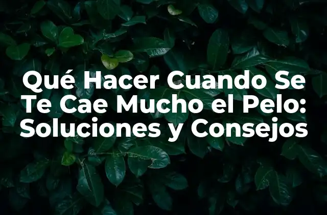 Qué Hacer Cuando Se Te Cae Mucho el Pelo: Soluciones y Consejos 2 Causas Comunes de la Pérdida de Cabello Excesiva