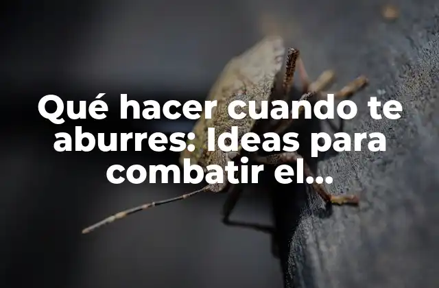 Qué Hacer Cuando Te Aburres: Ideas para Combatir el Aburrimiento