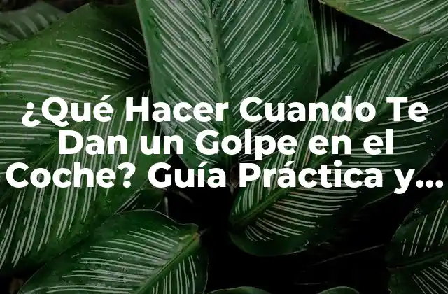 ¿qué Hacer Cuando Te Dan un Golpe en el Coche? Guía Práctica y Detallada