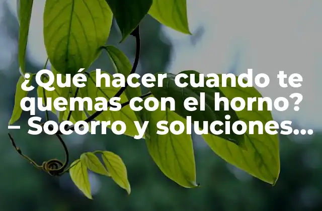 ¿qué Hacer Cuando Te Quemas con el Horno? – Socorro y Soluciones para Quemaduras Leves