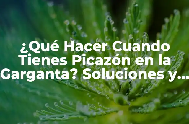 ¿qué Hacer Cuando Tienes Picazón en la Garganta? Soluciones y Remedios Naturales